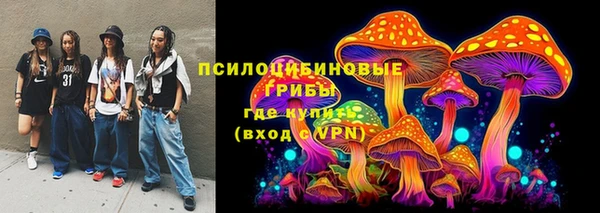 ПСИЛОЦИБИНОВЫЕ ГРИБЫ Богданович